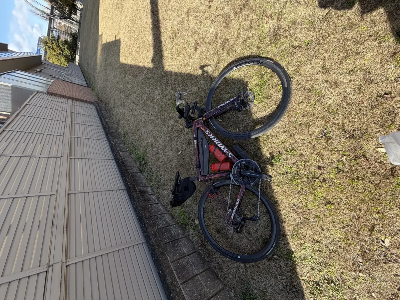 今日の相棒「花火」