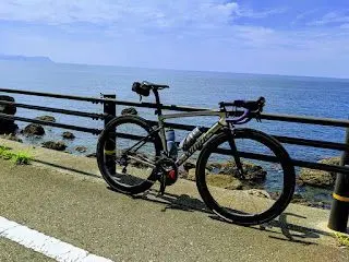 美しいでしょ！