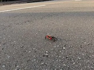 GreatDistance Stage.2 レポート