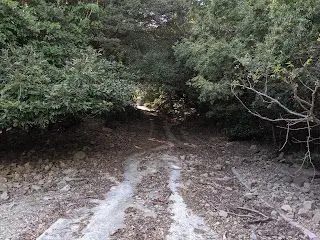 何だこの道は...実は22%くらいの坂