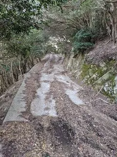 最大勾配23%の落ち葉と瓦礫に埋もれた道が俺たちを待っていた！