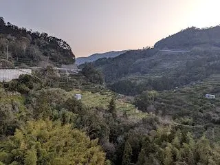 山間部の段々畑の風景