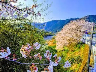 300kmブルベに出た話