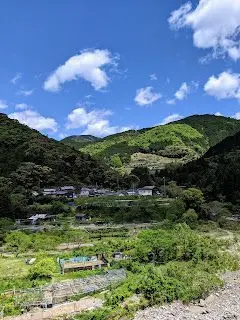 野中の一方杉という22mもある杉の木。なんとνガンダムと同じ高さだ